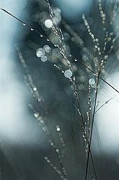 【第一视角】《永劫无间》职业联赛NBPL常规赛7月15日